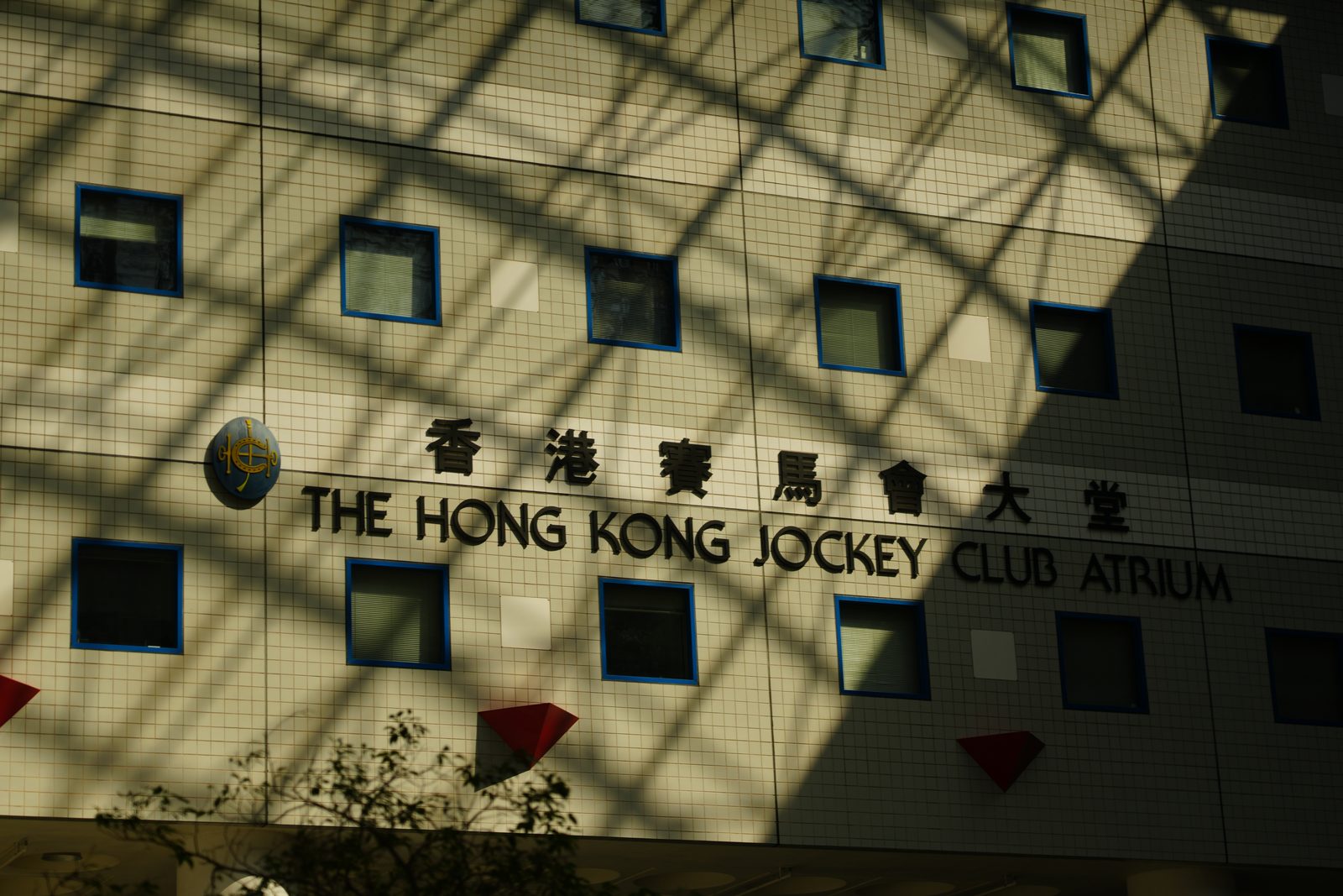 Photograph by HE Tianlun