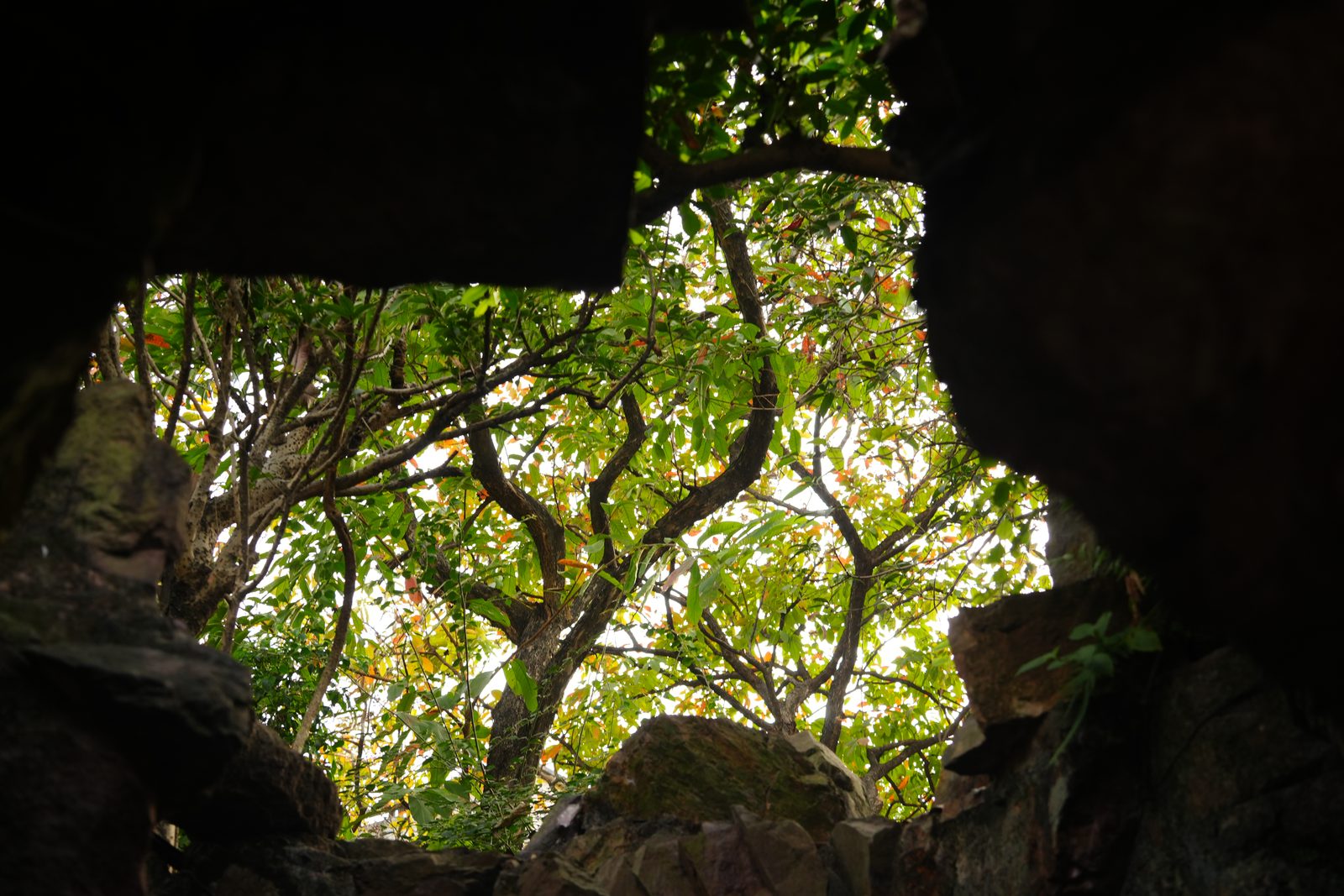 Photograph by HE Tianlun