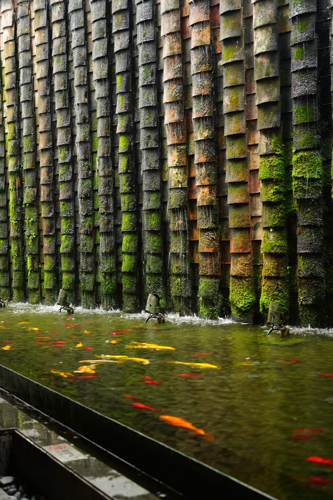 Photograph by HE Tianlun